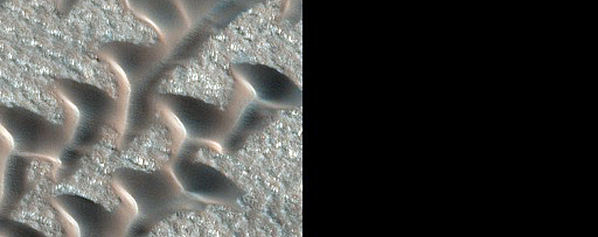 Dunes in Shapes of Ts and Vs