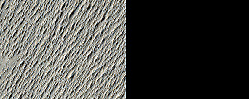 Terrain Sample in Meridiani Planum