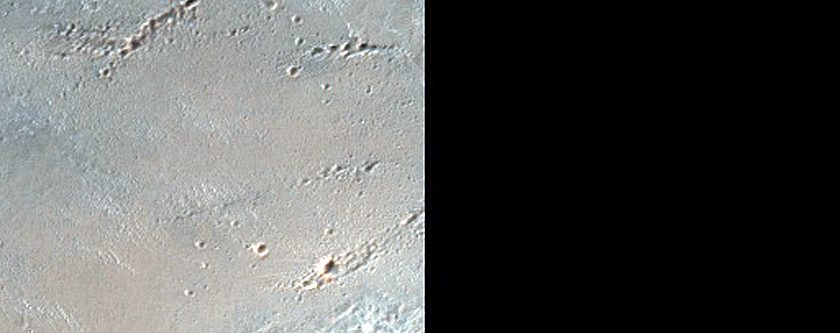 Secondaries from Fresh Small Impact Crater