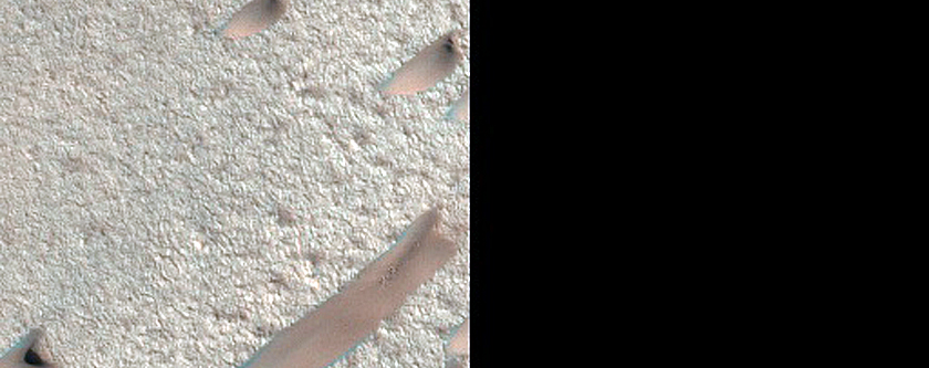 Terrain Sample