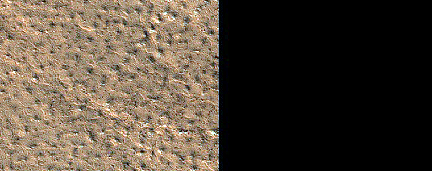 Terrain Sample