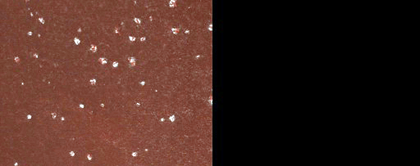 Terrain Sample