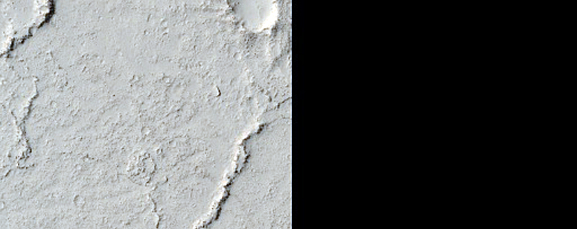 Flow Margin in Elysium Planitia