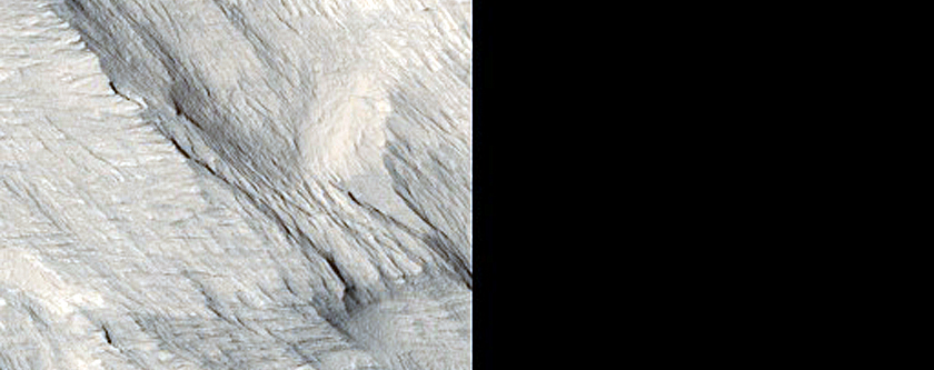 Erosional Features on Olympus Mons