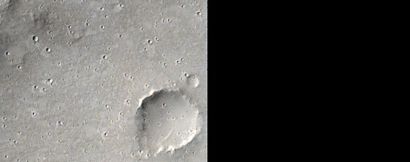 Elysium Planitia Impact Ejecta