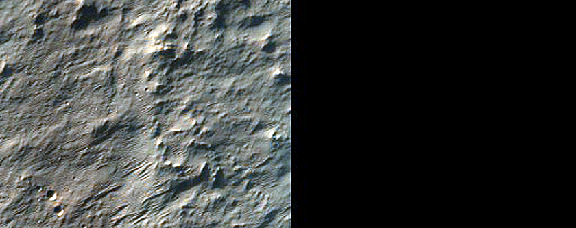 Phyllosilicates in Crater Rims North of Hellas Planitia