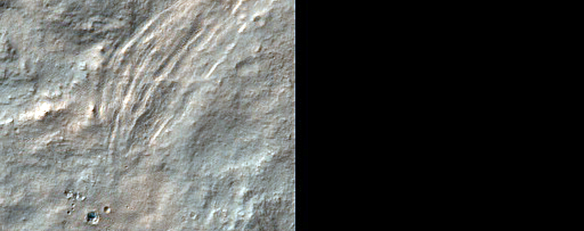 Northern Hellas Planitia Phyllosilicates