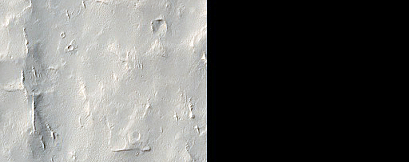 Lucus Planum
