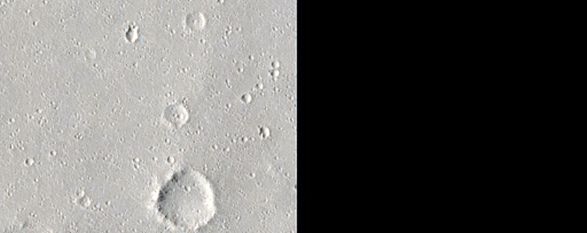 Elysium Planitia