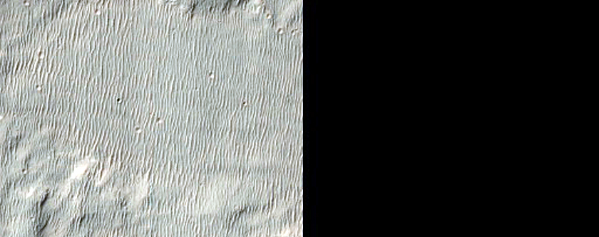 Alluvial Fans in Holden Crater