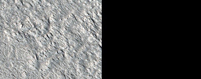 Tempe Terra