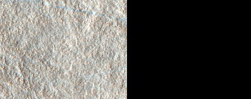 Dust Devil Tracks in Arcadia Planitia