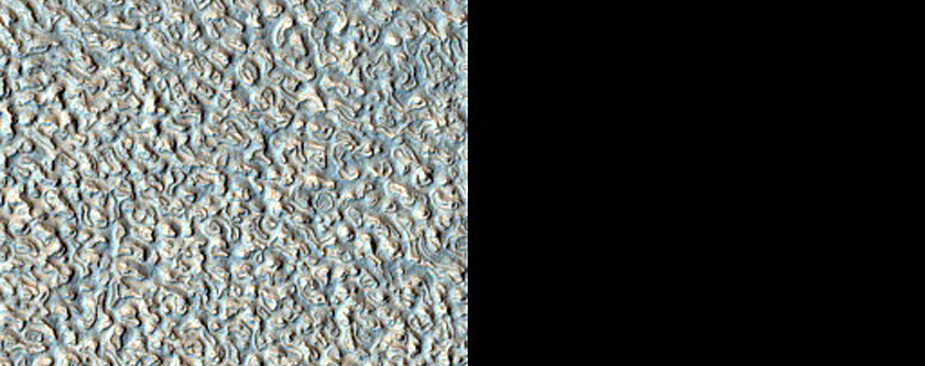 Flow Features in Arcadia Planitia