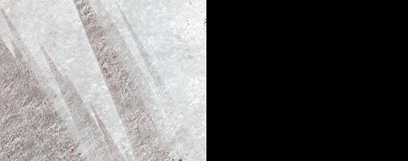 Terrain Sample
