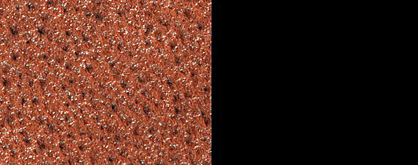 Terrain Sample