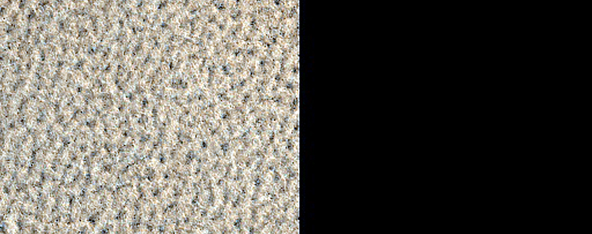 Terrain Sample