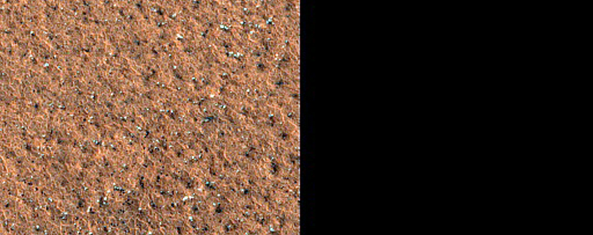 Terrain Sample