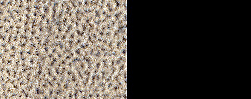 Terrain Sample