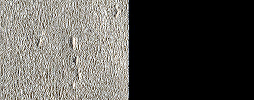 Impact Monitoring in Arcadia Planitia
