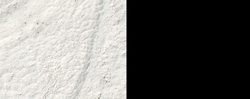 Lava Margin in Elysium Planitia