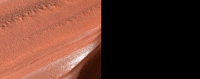 Dunes with Bright-Dark-Bright Bands Dubbed Buzzel