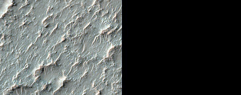 Possible Pyroxene-Rich Materials on Terra Sabaea Crater Floor