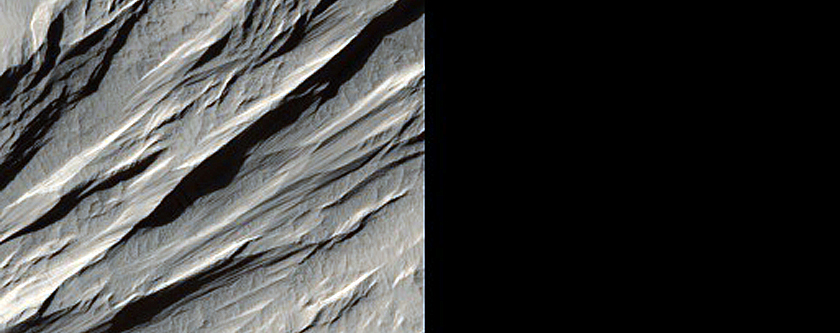 Terminus of Smooth Deposit West of Nicholson Crater
