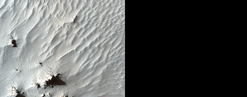 Lava Filling Craters in Elysium Planitia