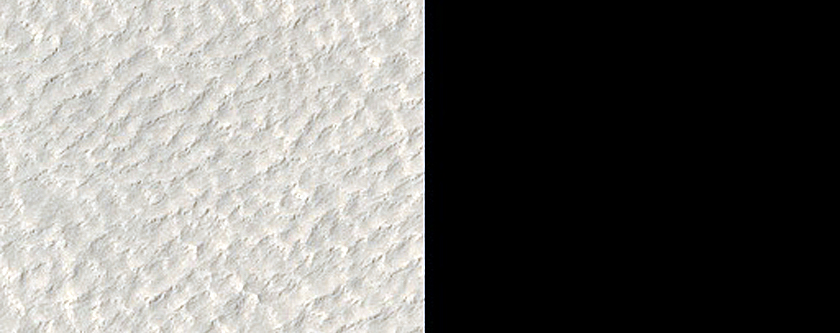 Fresh Impact Site