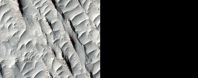 Aeolis Serpens