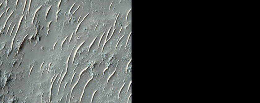 Radial Ridges on Crater Floor in Terra Sabaea