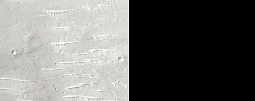Terrain West of Licus Vallis