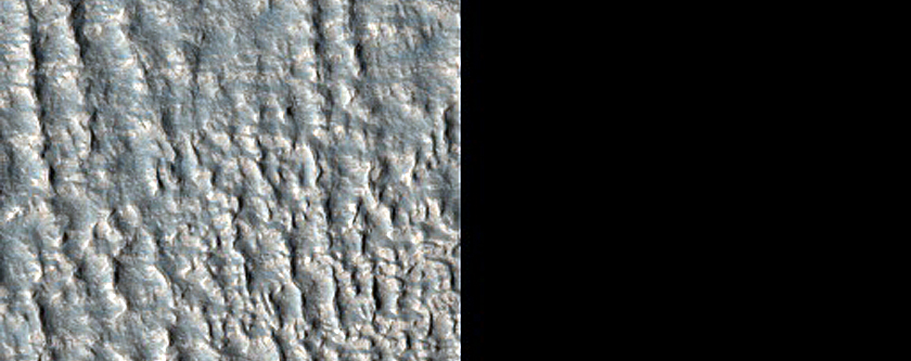 Protonilus Mensae Survey