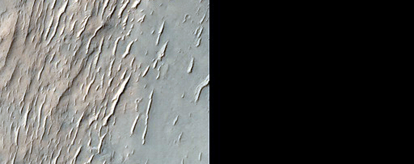 Protruding Ridges in Clay-Rich Terrain in Noachis Terra