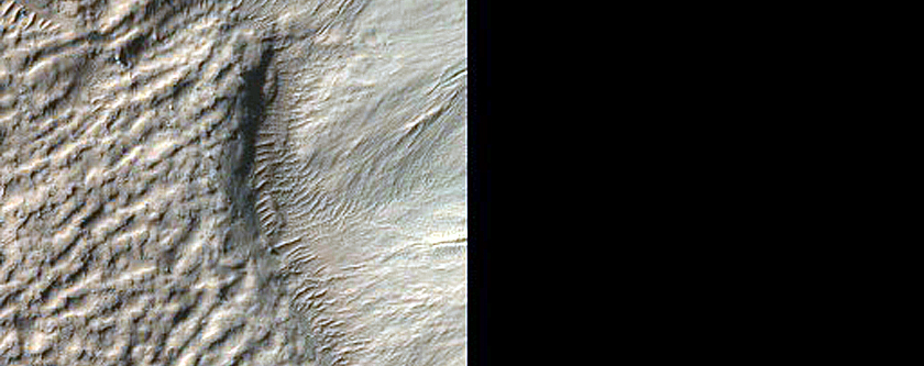 Monitor Frost in Corozal Crater