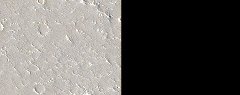 Sample in Utopia Planitia