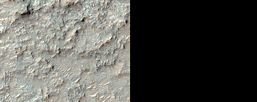 Diverse Materials on Western Terra Tyrrhena Crater Floor