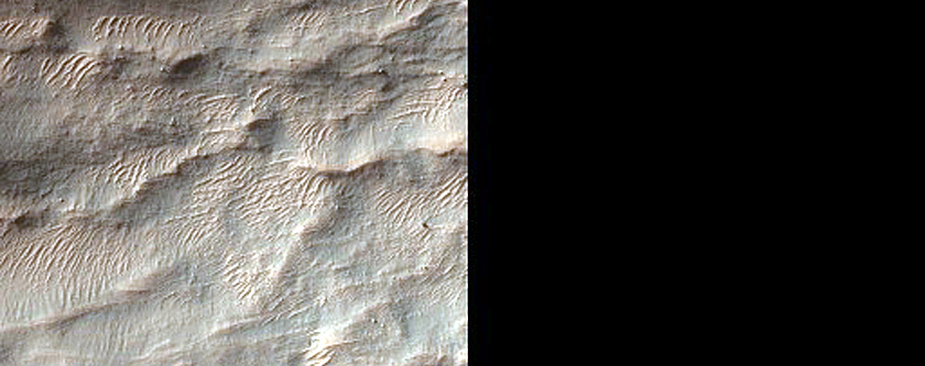 Diverse Minerals Exposed by Crater North of Hellas Planitia