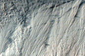 Slope Features and Gully Monitoring