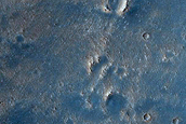 Daedalia Planum Albedo Pattern and Wind Streak Monitoring Site