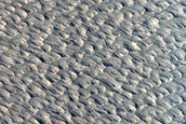 Dusty Terraced Impact Crater