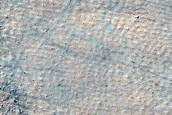 Diverse Surface Textures in Southern Highlands