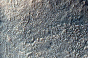 Gully Monitoring