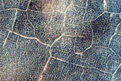 Degraded Lobate Debris Apron on Floor of Barnard Crater