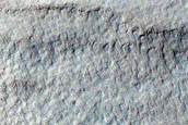 Gully Monitoring