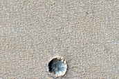 Syria Planum Dust-Raising Event Monitoring Site