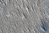 Candidate Recent Impact Site