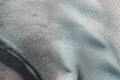 Dune Monitoring in Milankovic Crater