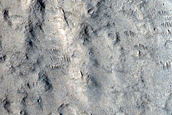 Northern Terra Cimmeria