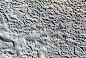 Lines of Pits in Protonilus Mensae
